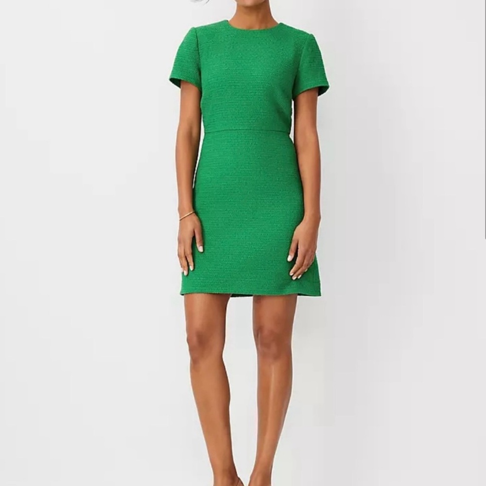 Ann Taylor Green Textured Dress Crew Neck